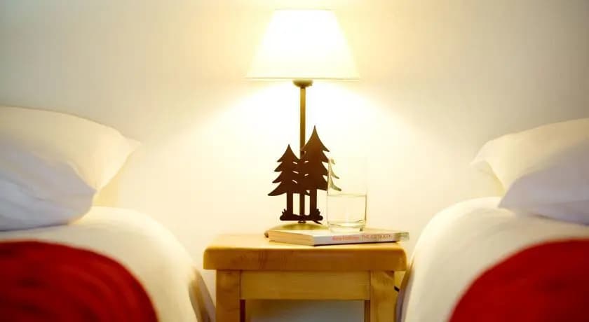 Yeti Lodge - Miniature 6