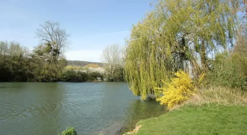 Villa Magnolia - Photo 5