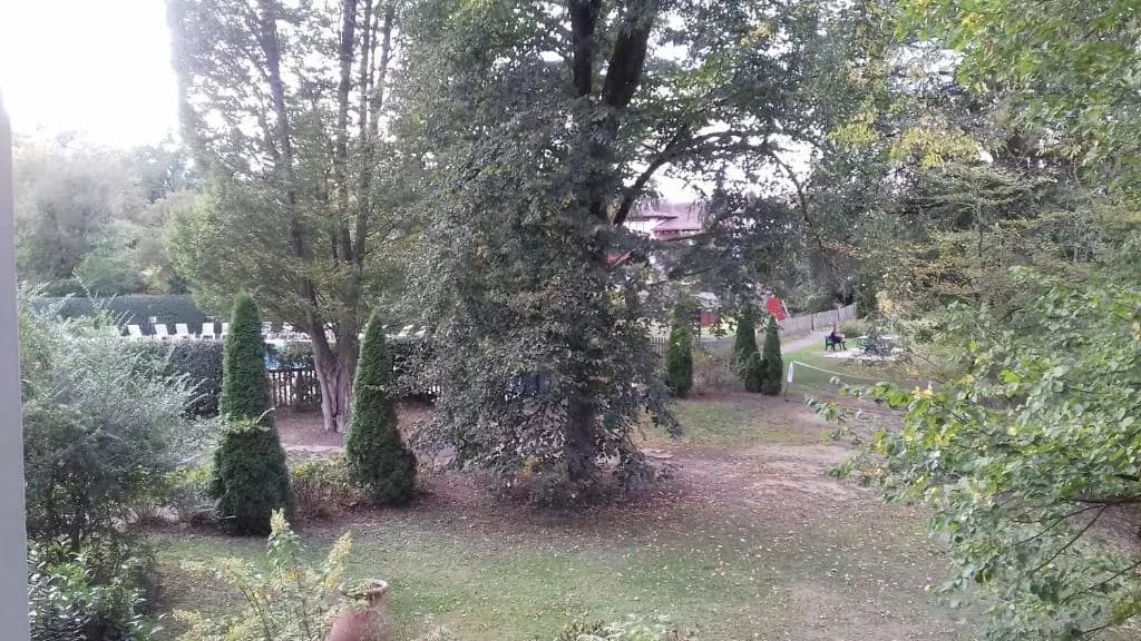 N101, parc d'arradoy-St J P de Port - Miniature 8
