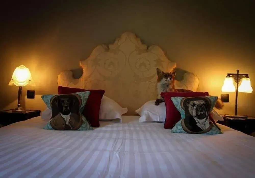 Hôtel Les Biches - Photo 3