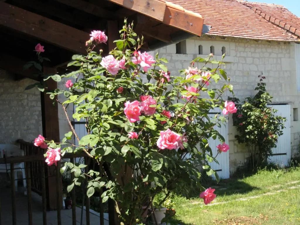 gite en touraine climatise - Photo 1