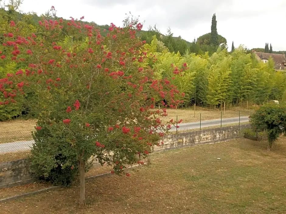 les noyers - Miniature 6