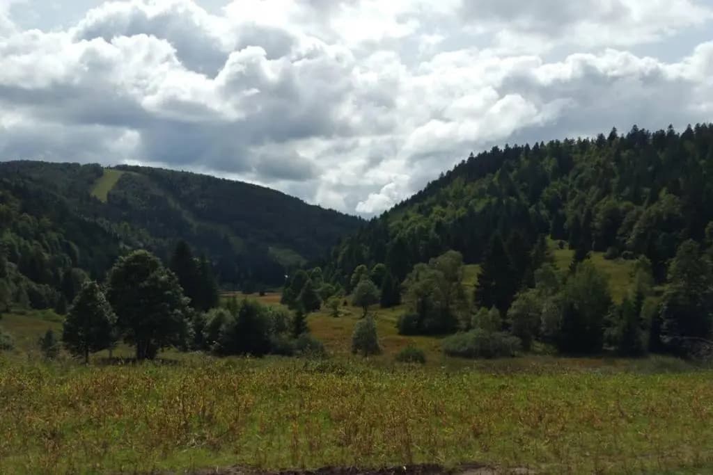 LA BRESSE - Appartement de Charme 3* - Photo 2