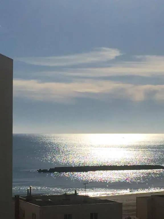 Les Balcons de la Mer - Photo 2