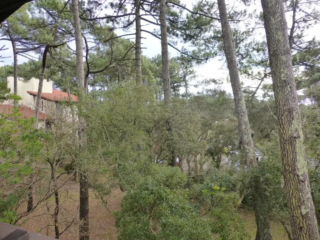Appartement Pour 5 Personnes - Residence Tursan - Miniature 7