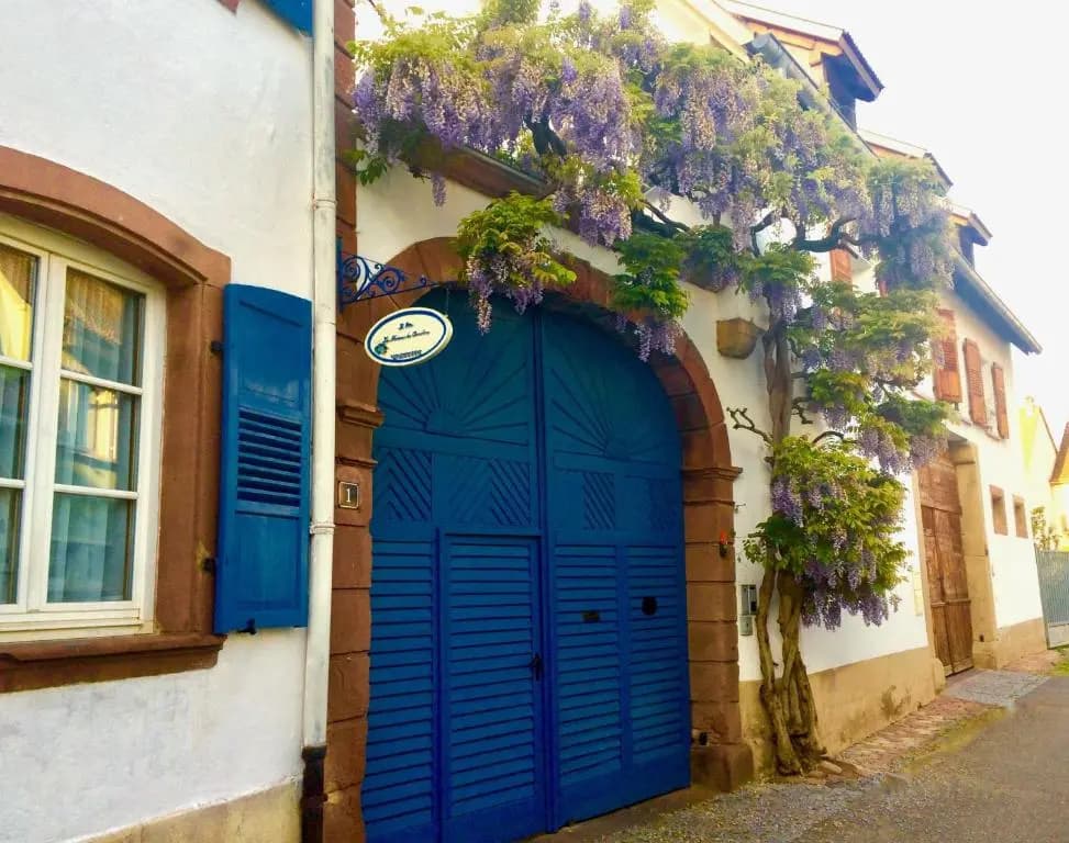 La Maison de Caroline - Photo 1