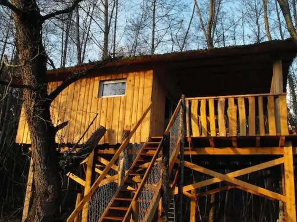 Cabane des cerfs - Photo 5