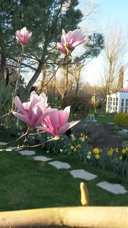 Le Clos de Saint Amour - Miniature 6