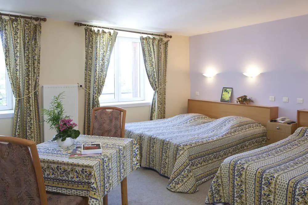 Logis Hotel Restaurant Des Sapins - Photo 2
