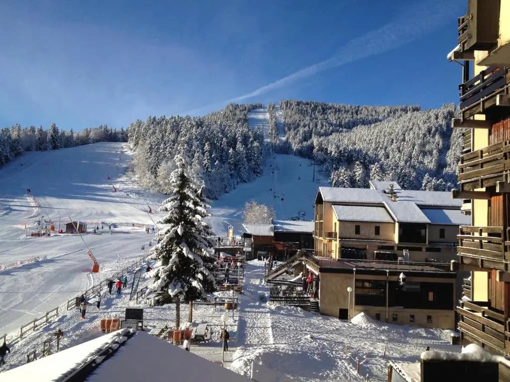 Un Isard au Pied des Pistes - Miniature 7