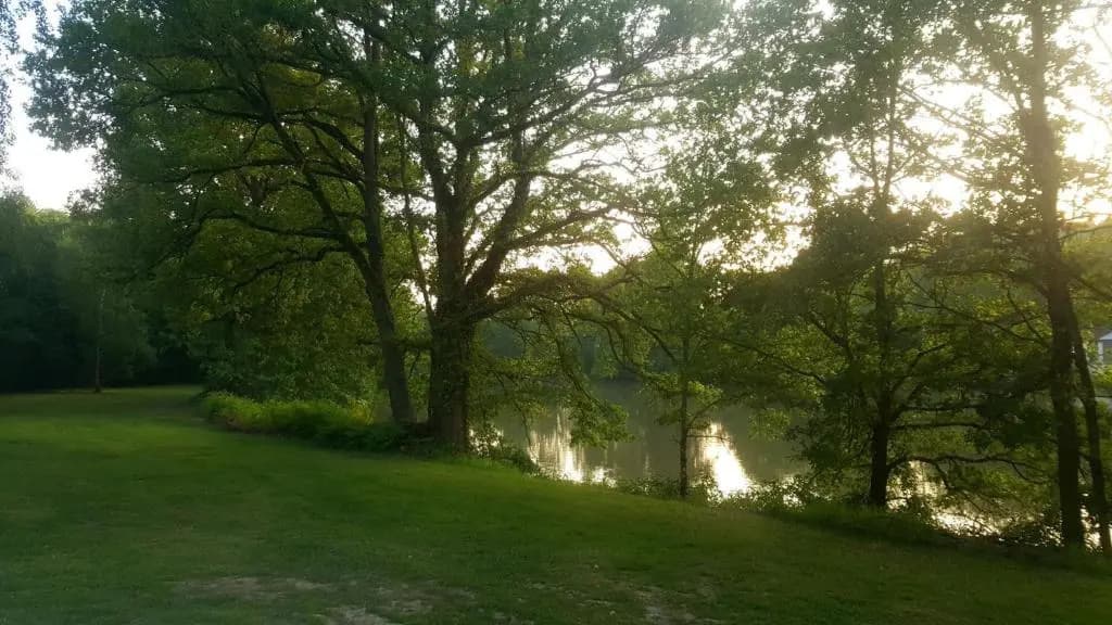 Camping de la Reuille - Photo 2