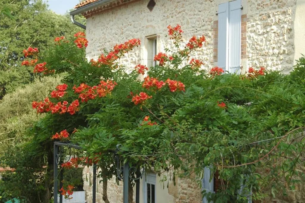 Domaine De Cimélia - Photo 1