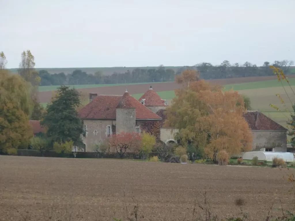 Château de Ribourdin - Photo 4