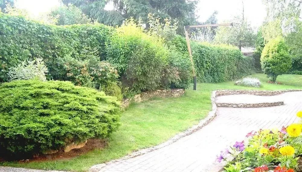 Le Relais de Massy - Photo 5