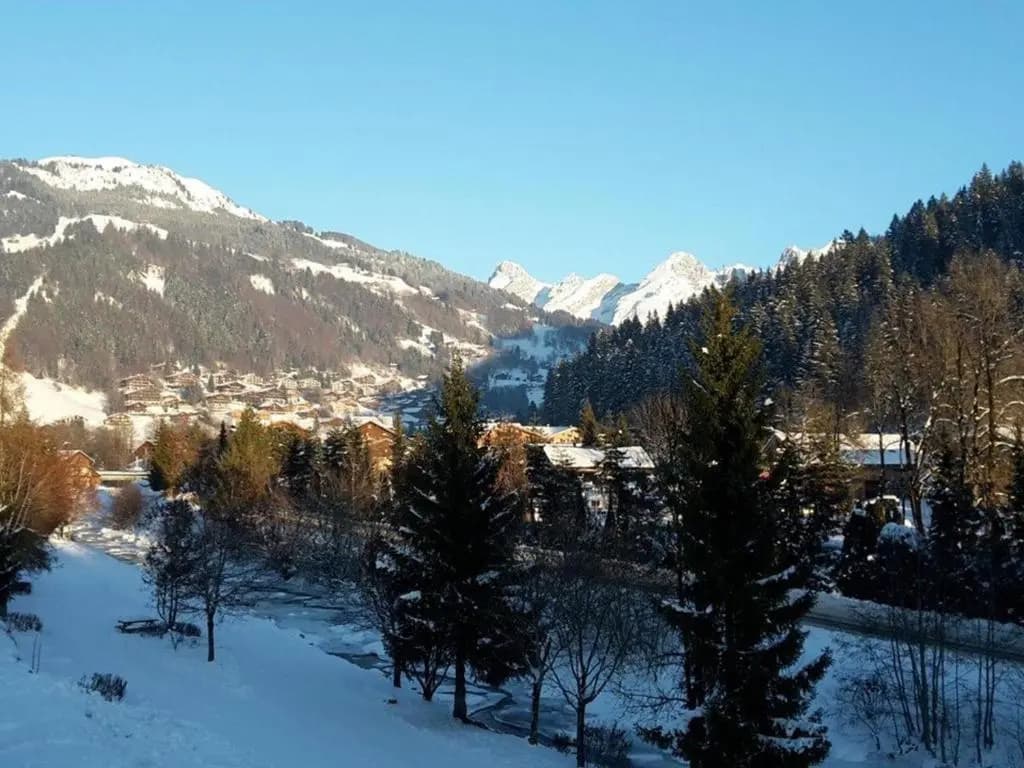 Appartement Le Grand-Bornand, 2 pièces, 6 personnes - FR-1-241-111 - Miniature 8