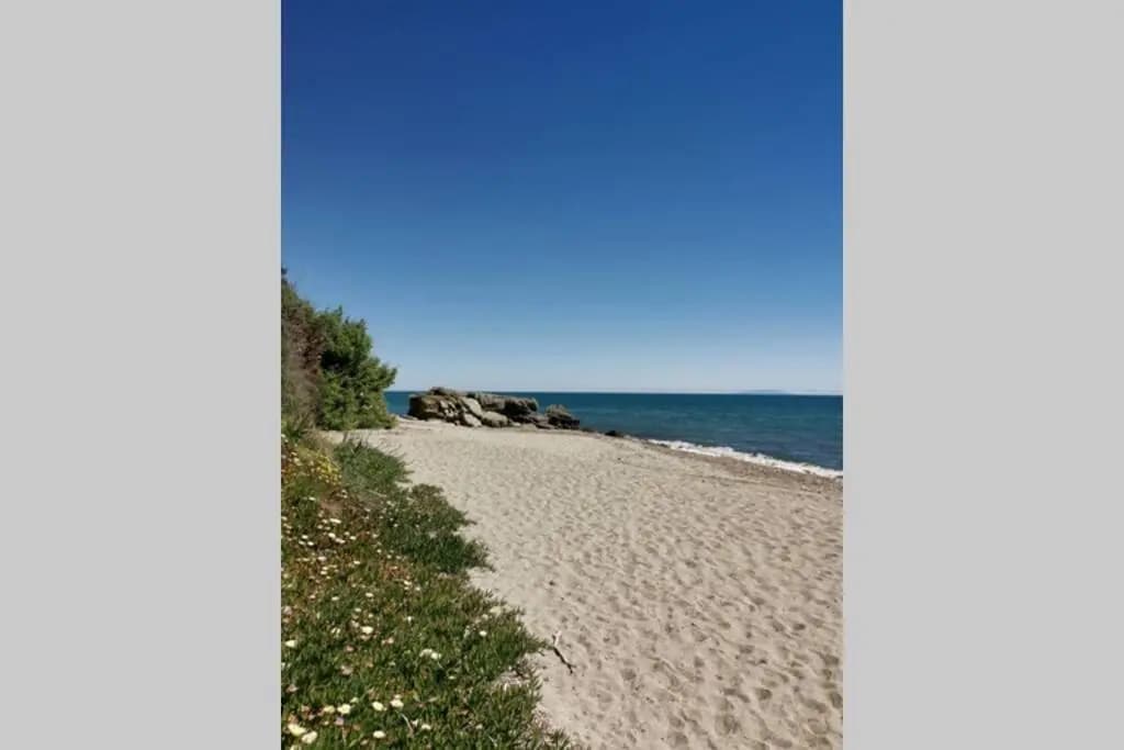MARINE DE Bravone pieds dans l'eau - Miniature 6