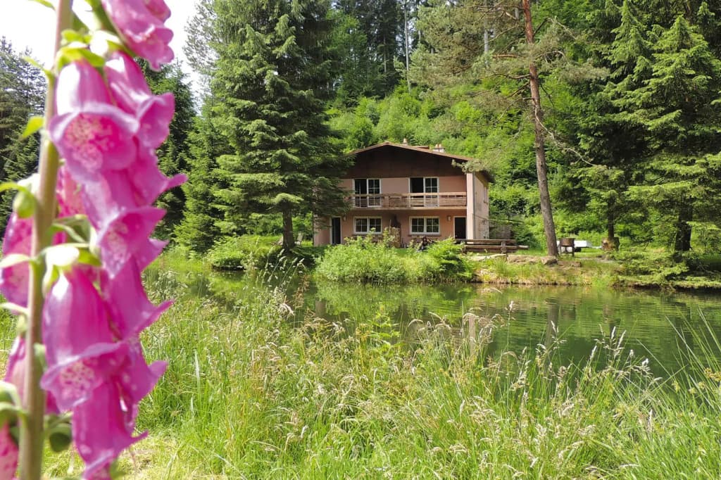 Apartment in Alsace With Nature Retreat - Miniature 8