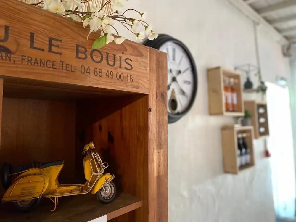 Château le Bouïs - Photo 1