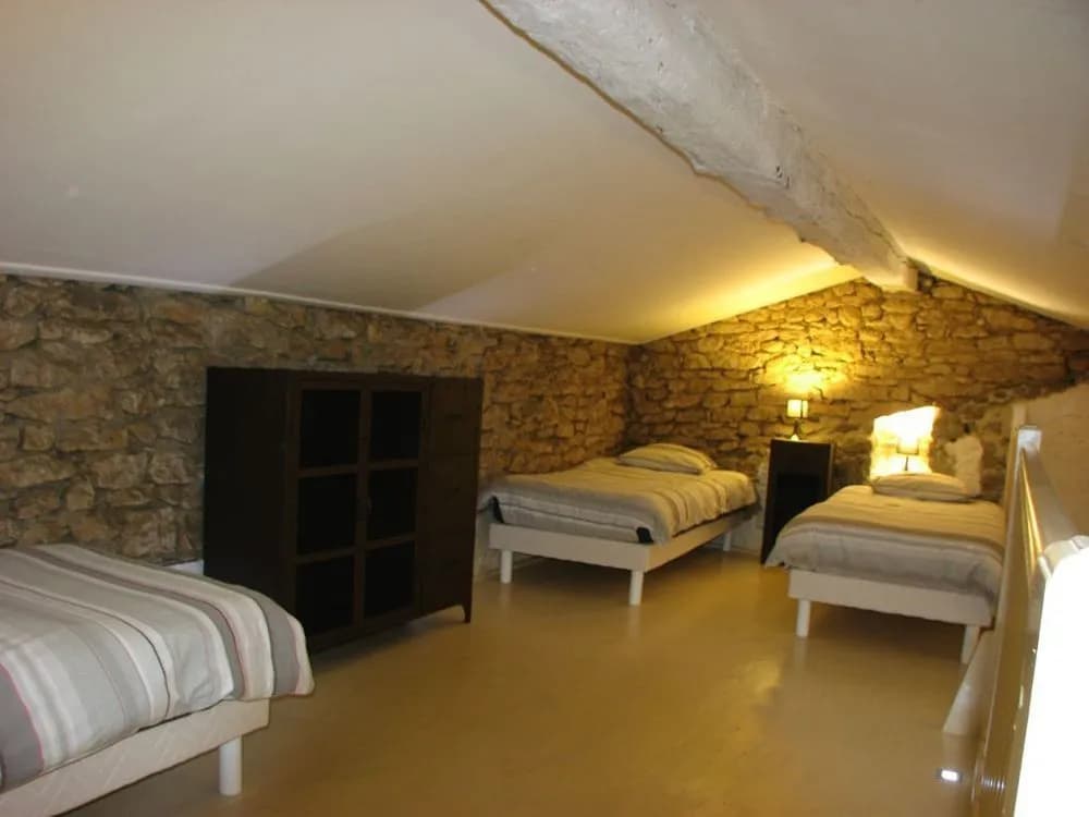 Domaine Saint-Joly - Photo 4