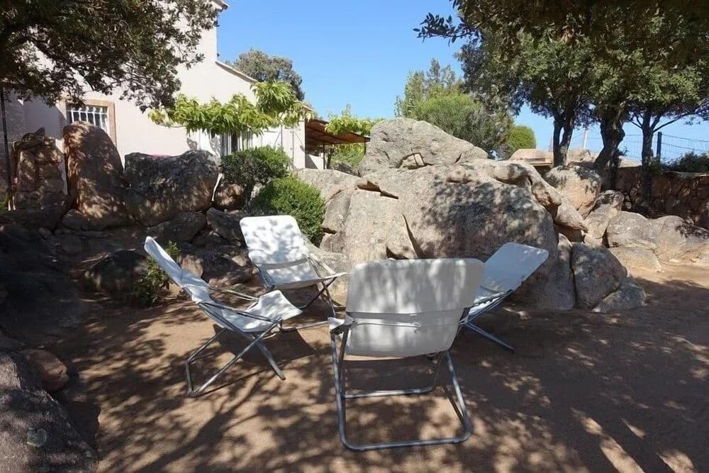 Domaine de la Punta - Photo 5