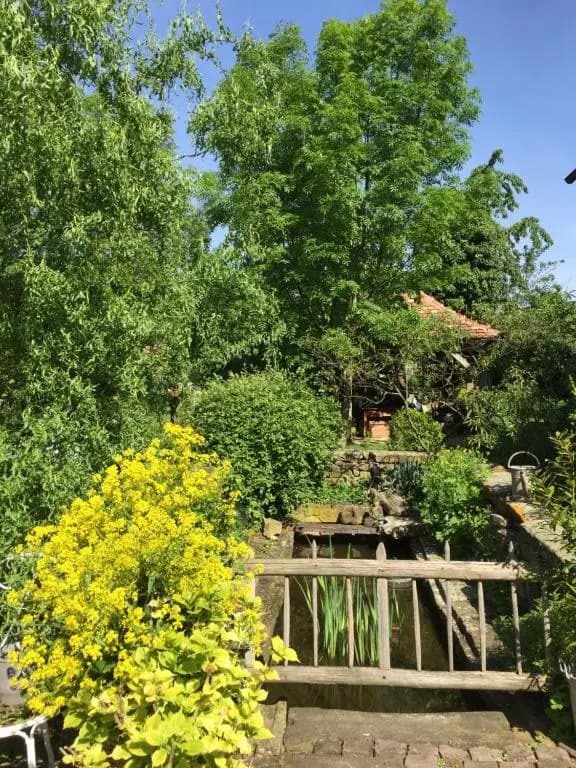 La Ferme de Marie - Photo 2