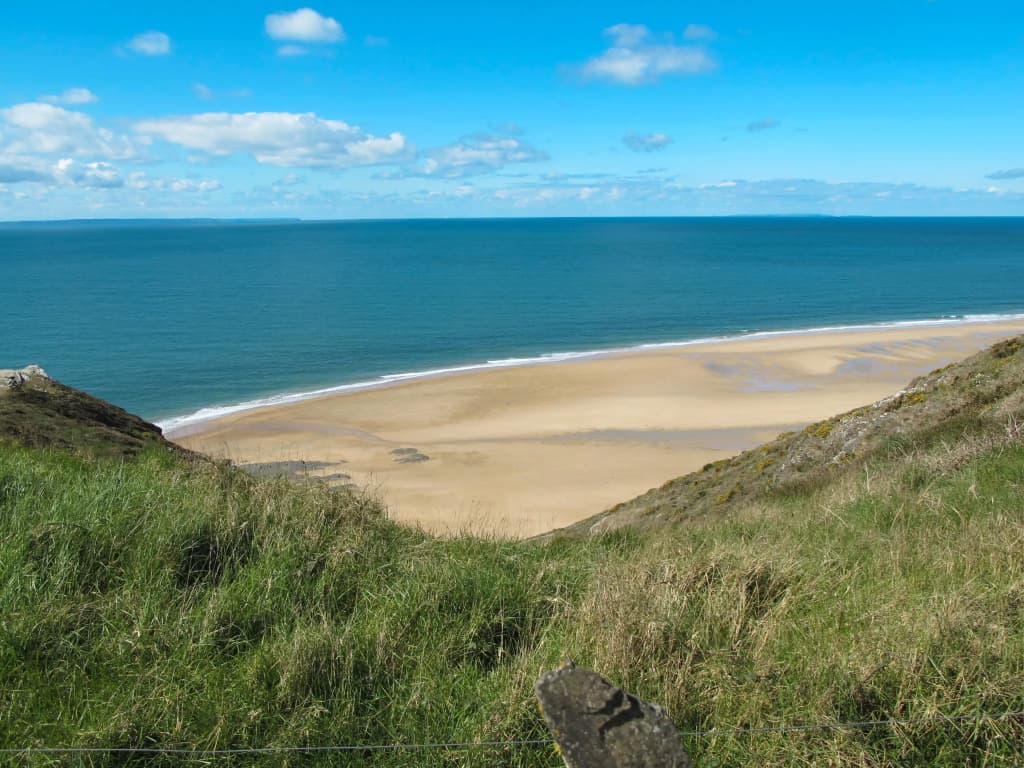 Colibri (SGY404) - Miniature 8