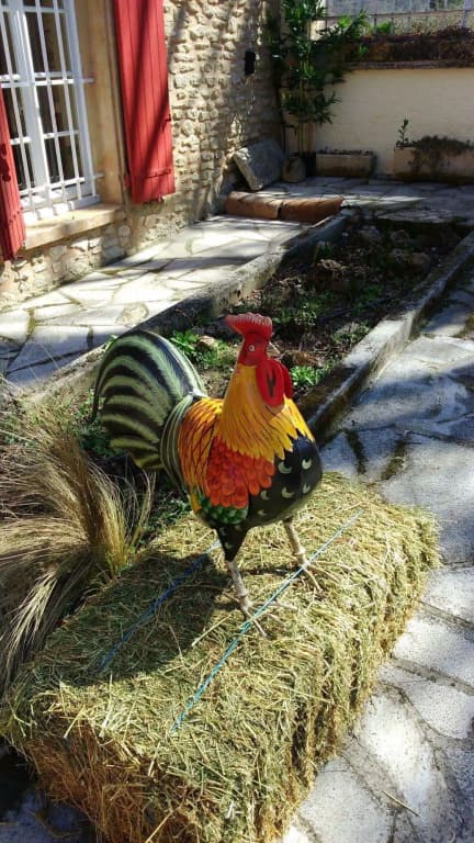 Mas de Cocagne en Provence - Miniature 7