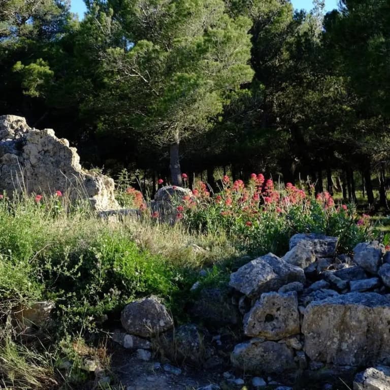 La Stregheria - Miniature 7