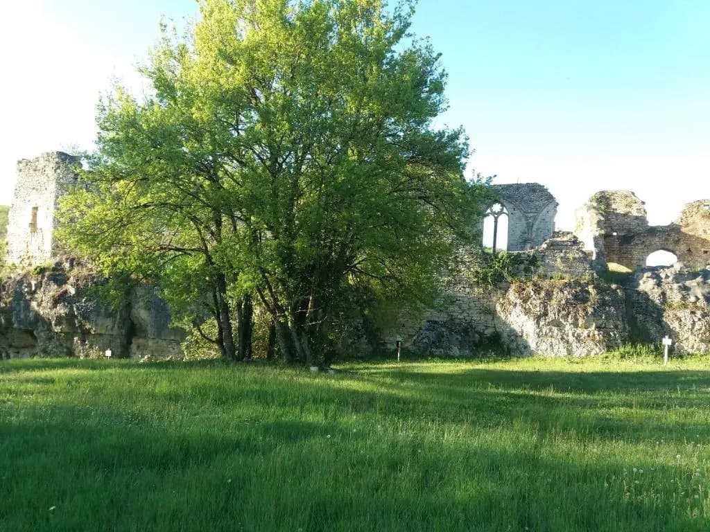 La Baraka - Photo 3