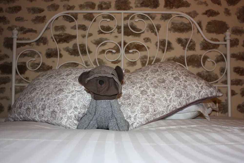 Chambres d'Hotes La Brocherie - Photo 5