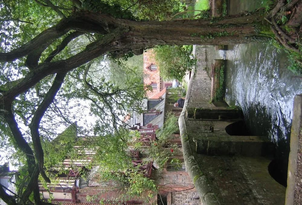 Le Moulin Fleuri Du Petit Appeville - Photo 2