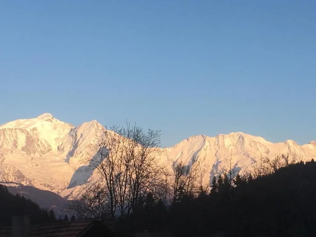De Savoie - Photo 2