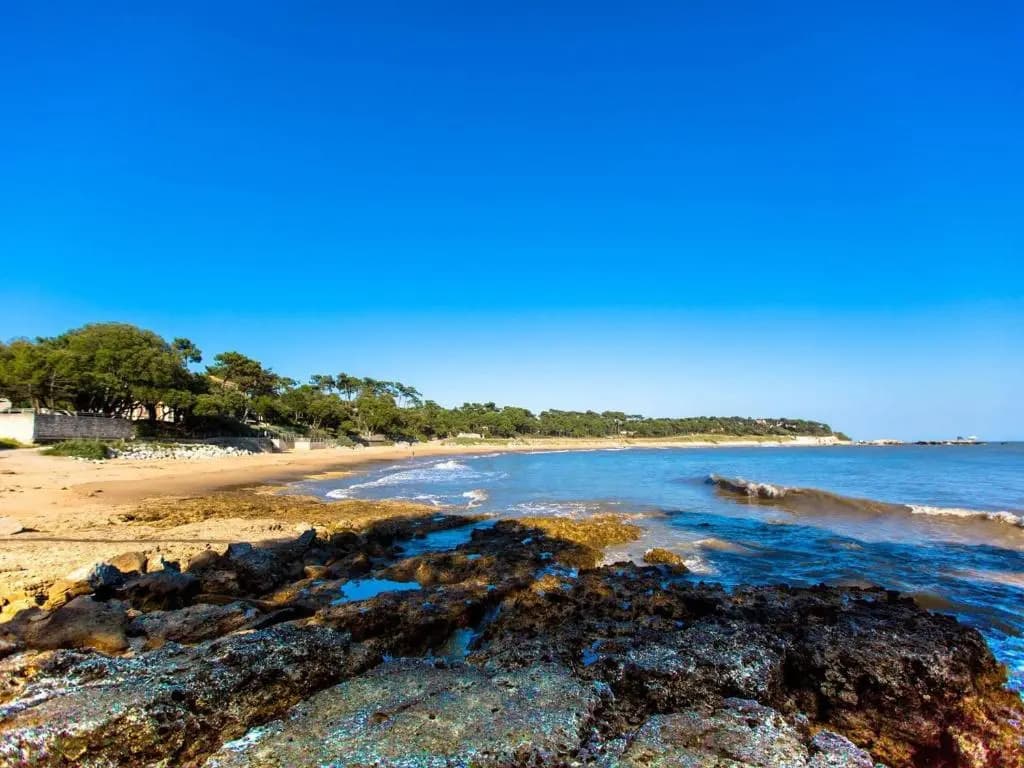 Appartement Vaux-sur-Mer, 3 pièces, 5 personnes - FR-1-494-79 - Miniature 7