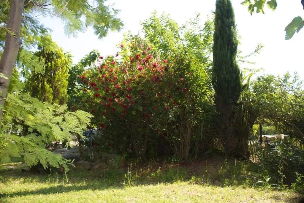 Bungalow de 2 chambres avec jardin clos et wifi a Roquebrune sur Argens - Miniature 8