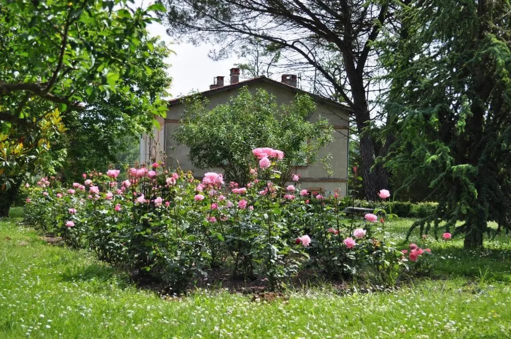 Domaine De Belcayre - Miniature 7