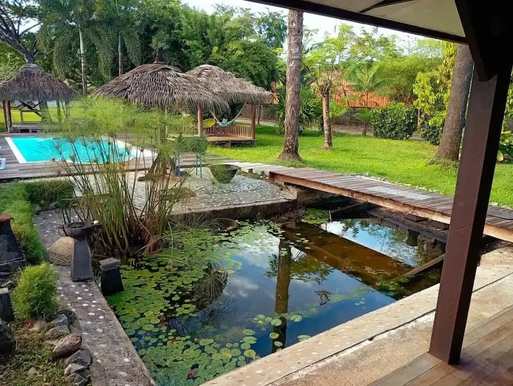 La Villa des Palmiers Bleus - Piscine Jardin - Photo 1