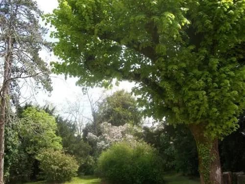 Château Fontclaire - Photo 3