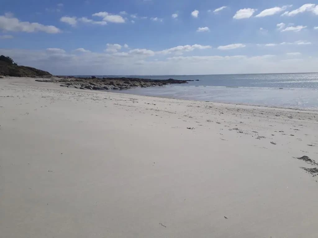 appartement bord de mer - Photo 3