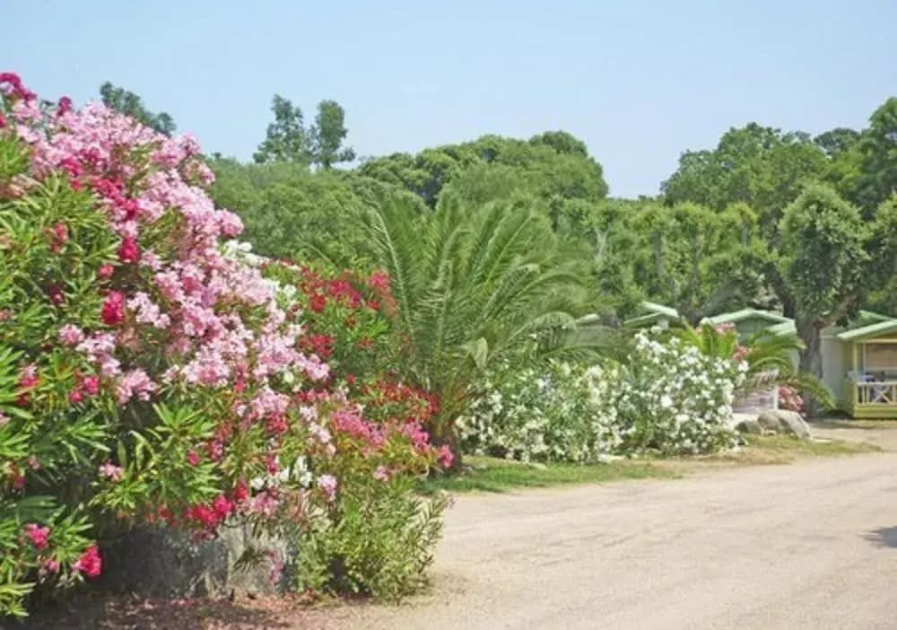 Camping Pezza Cardo - Photo 4