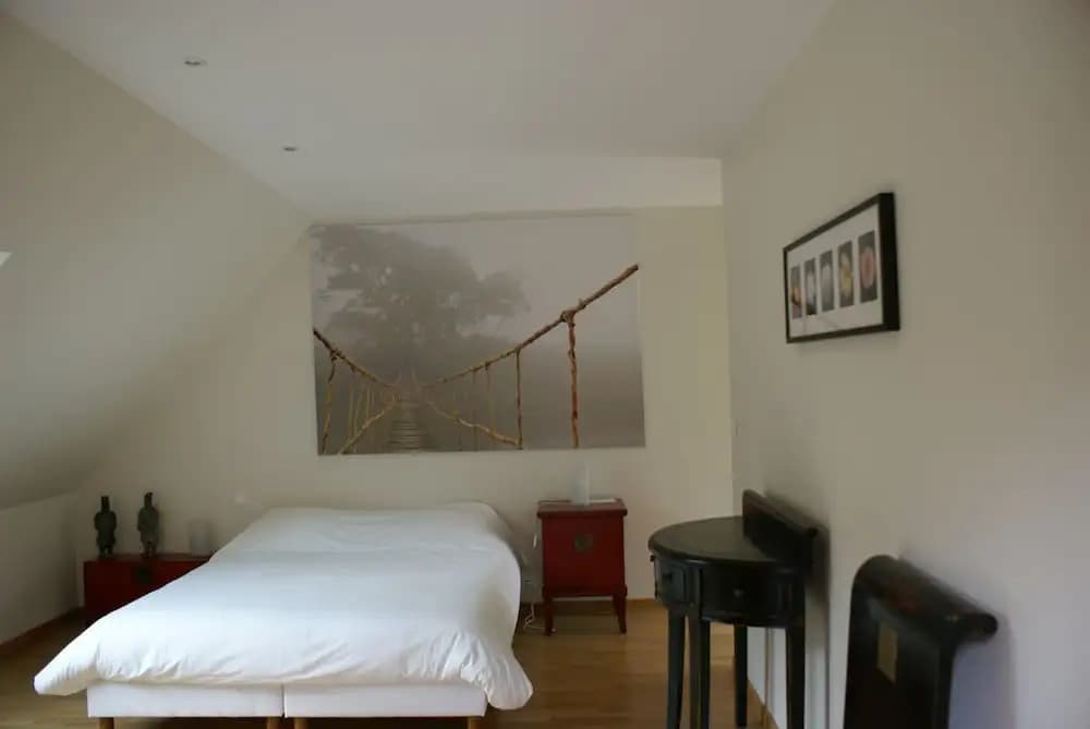 La Canopée des pins - Photo 2