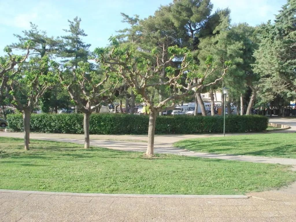 Appartement Balaruc-les-Bains, 1 pièce, 2 personnes - FR-1-503-56 - Photo 2