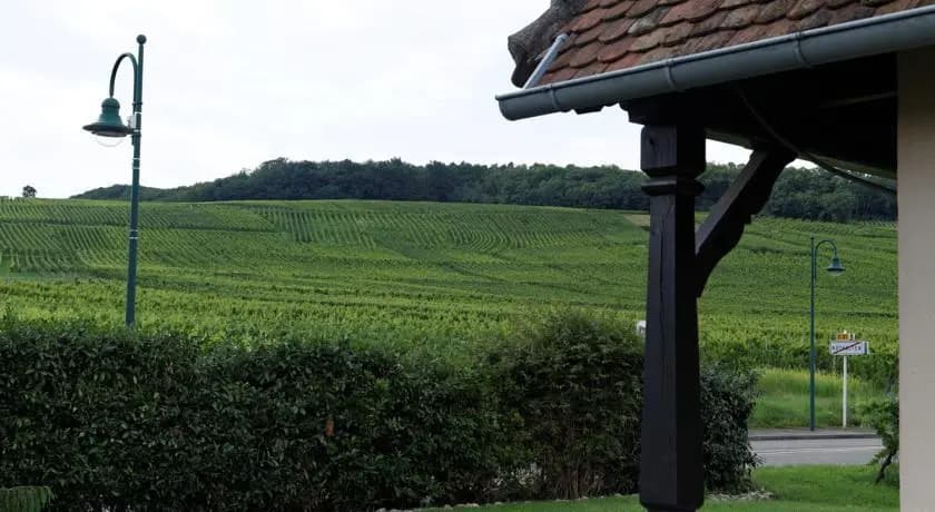 Gîte Roland Geyer - Miniature 8