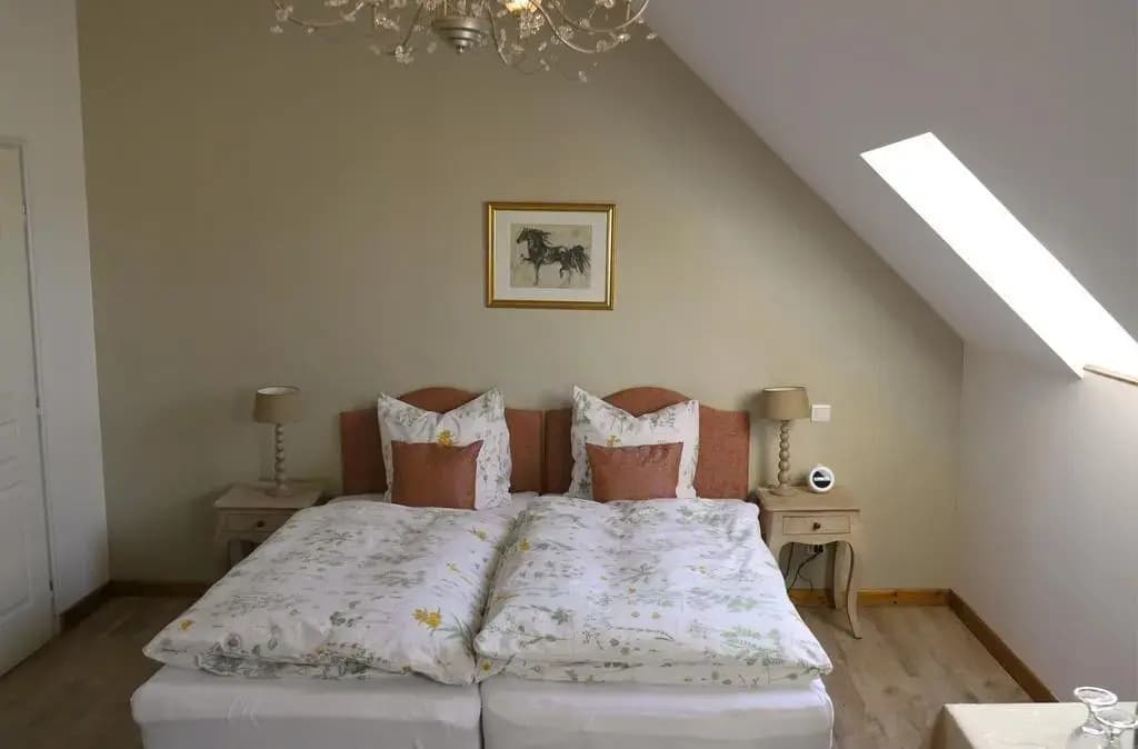 Maison du Cheval Blanc - Photo 4