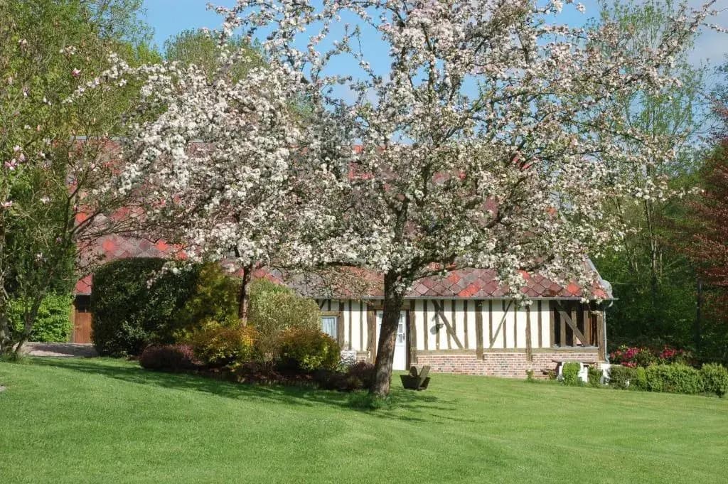 Cottage La Baronniére - Miniature 6