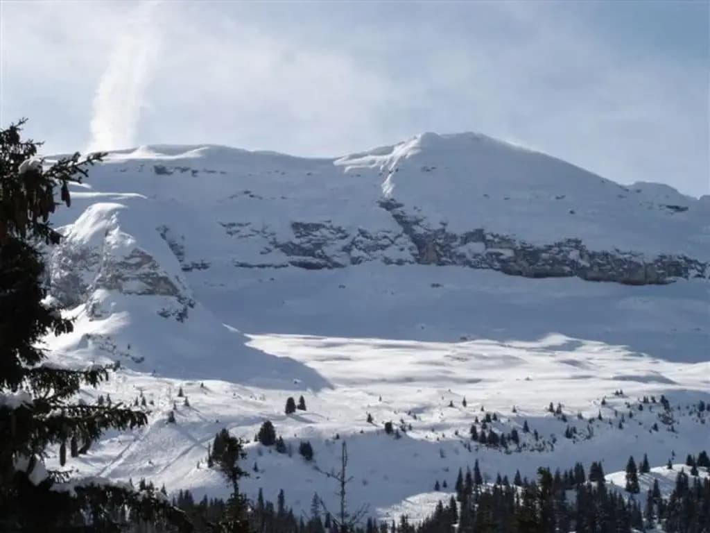 Appartement Flaine, 2 pièces, 5 personnes - FR-1-425-173 - Photo 1