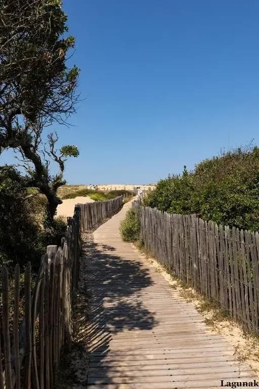 Landaise le lagunak avec piscine chauffée à 900 M de la plage - Photo 3