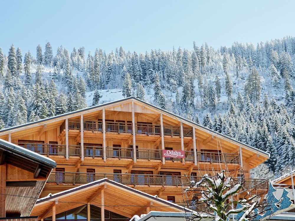 Chatel Ski Apt Near Gondola - Photo 1