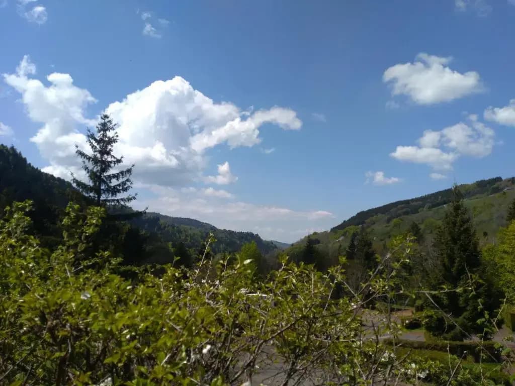 Le Relais Charraud - Photo 1