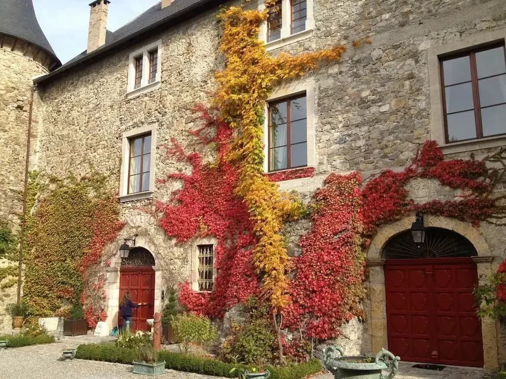 Château de Picomtal - Photo 1