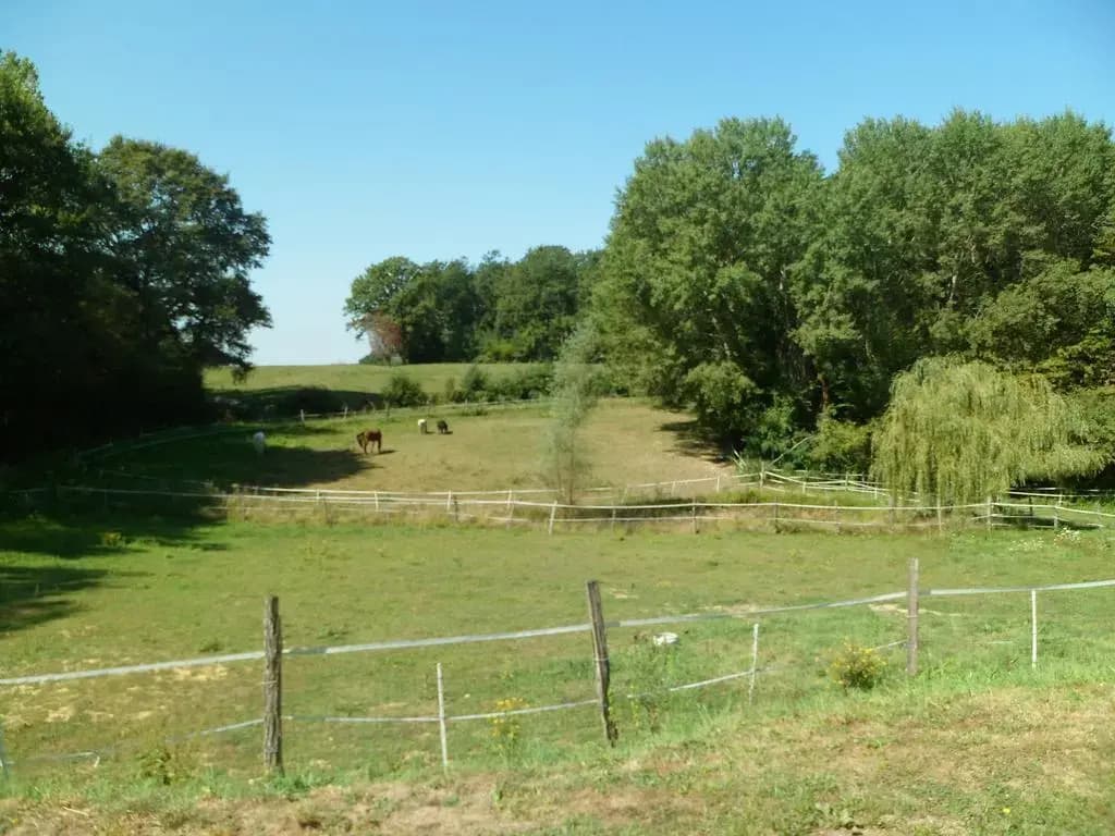 le paradis vert - Photo 3